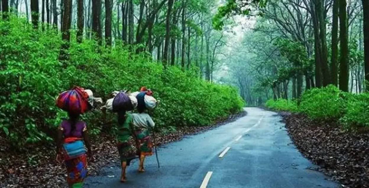 Netarhat – Jharkhand