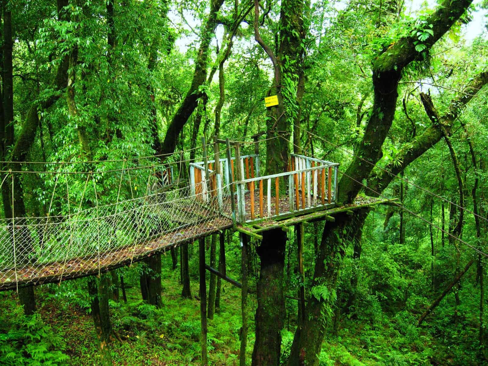 Offbeat North Bengal