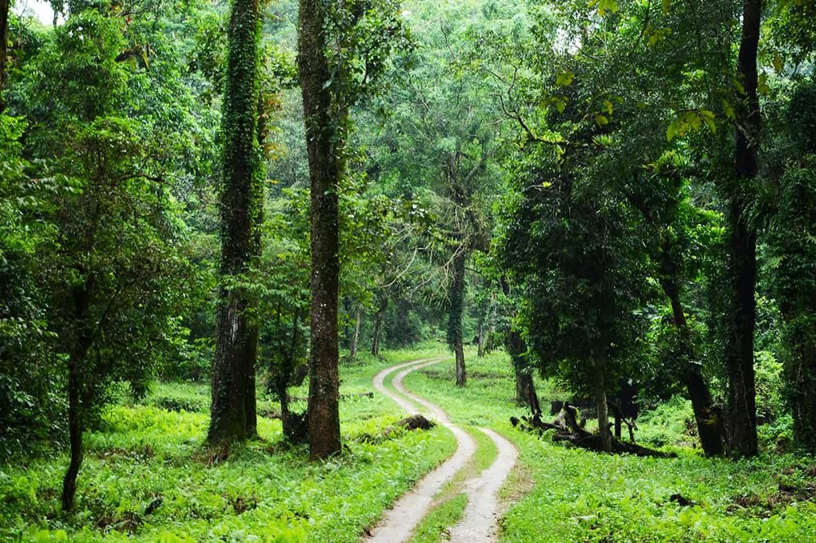 Dooars – North Bengal