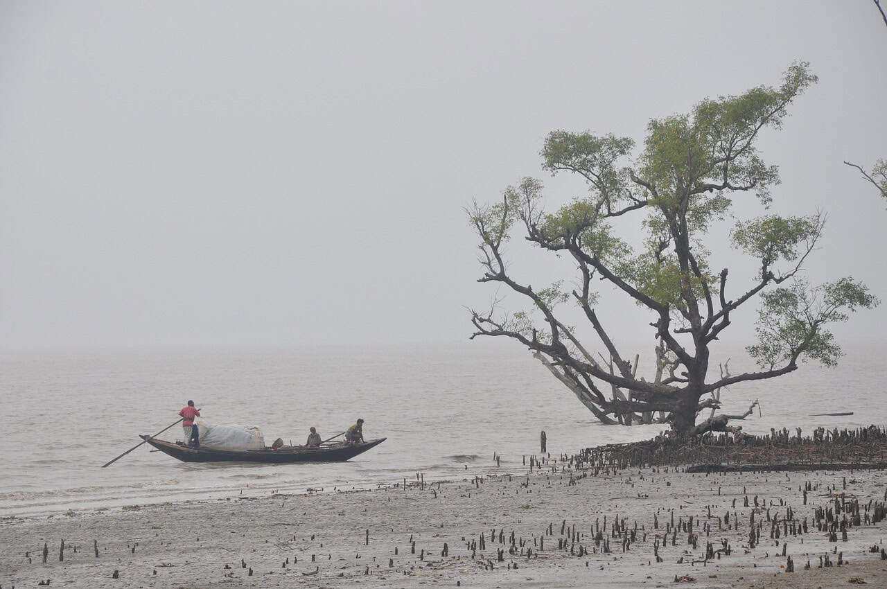 Sundarbans
